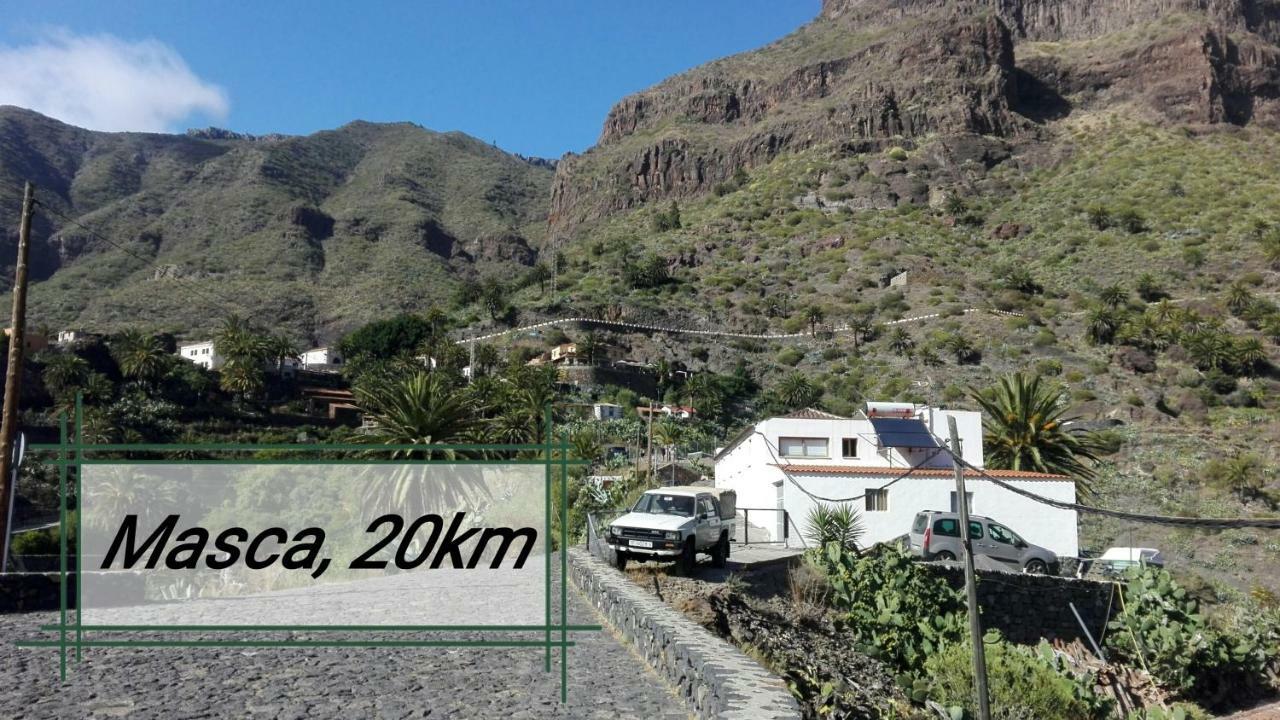 Los Geranios N.25 Icod De Los Vinos Eksteriør billede